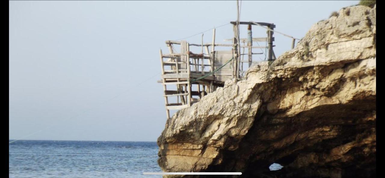 Villa Pineta سان مينايو المظهر الخارجي الصورة