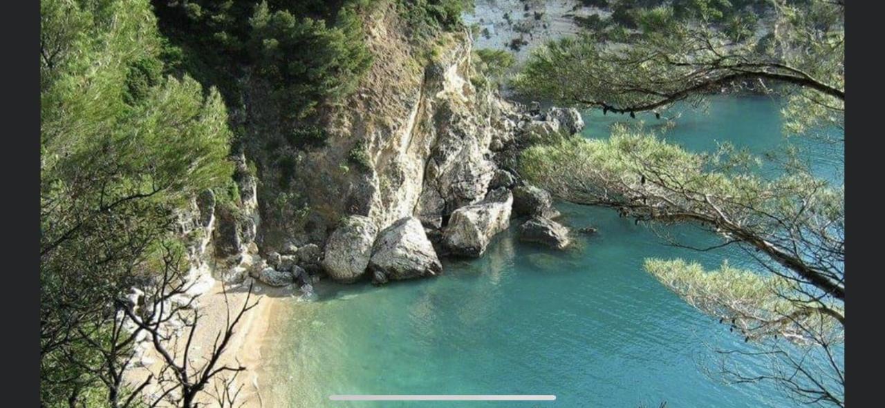 Villa Pineta سان مينايو المظهر الخارجي الصورة