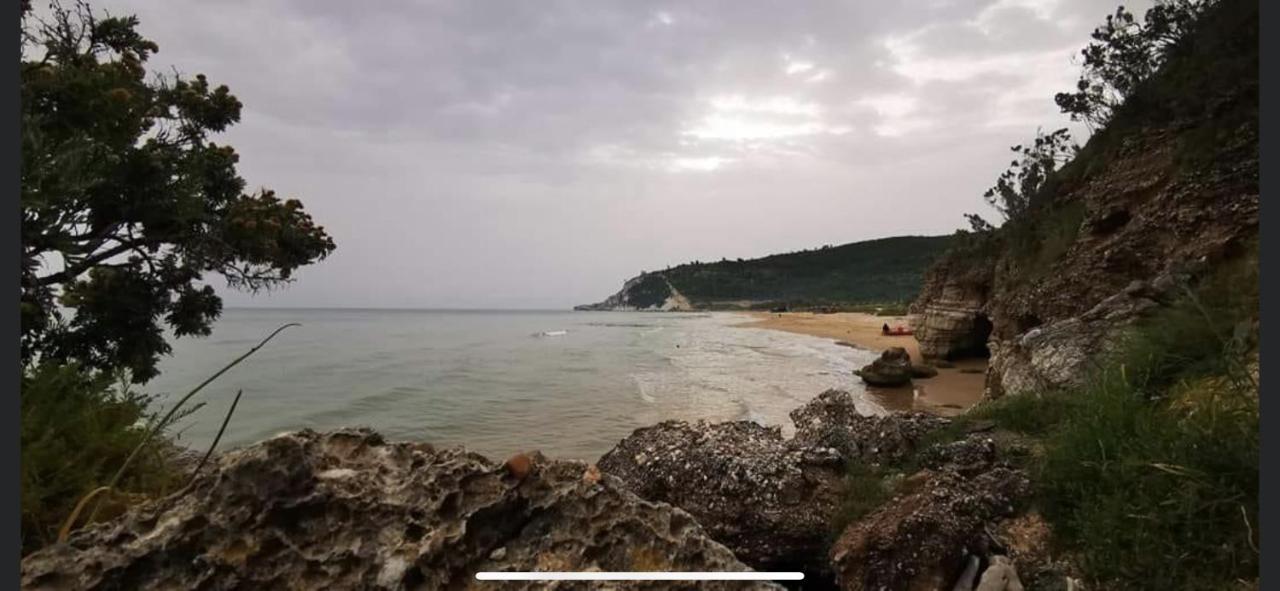 Villa Pineta سان مينايو المظهر الخارجي الصورة